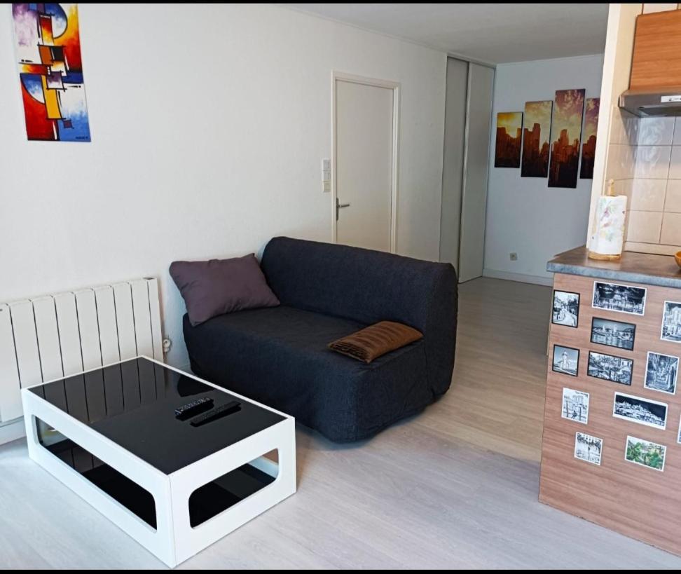 Ravissant Appartement T2 Proche Autoroute Et Centre-Ville Villefranche-sur-Saône Exterior photo